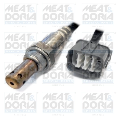 Oxygen Sensor